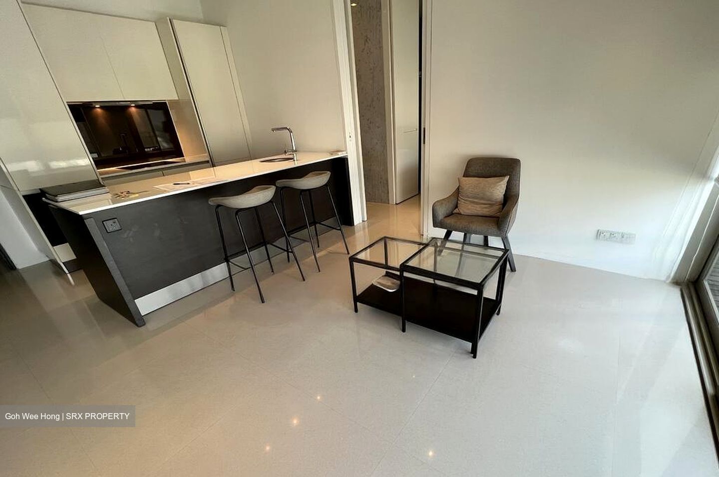 Scotts Square (D9), Apartment #467698081